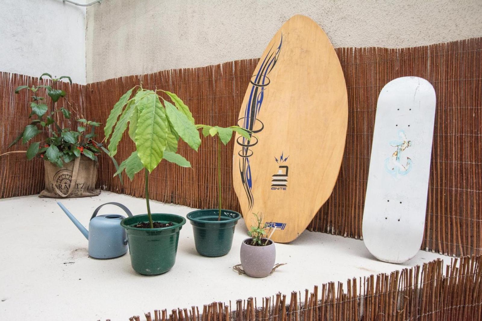 Altzoan Zarauz Tourist Apartments Con Aparcamiento Gratis Eksteriør billede